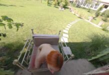 Ma Petite Cherie