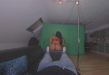 Pole & Lap Dance