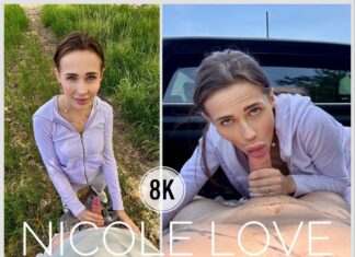 Sex in A Pickup With Nicole